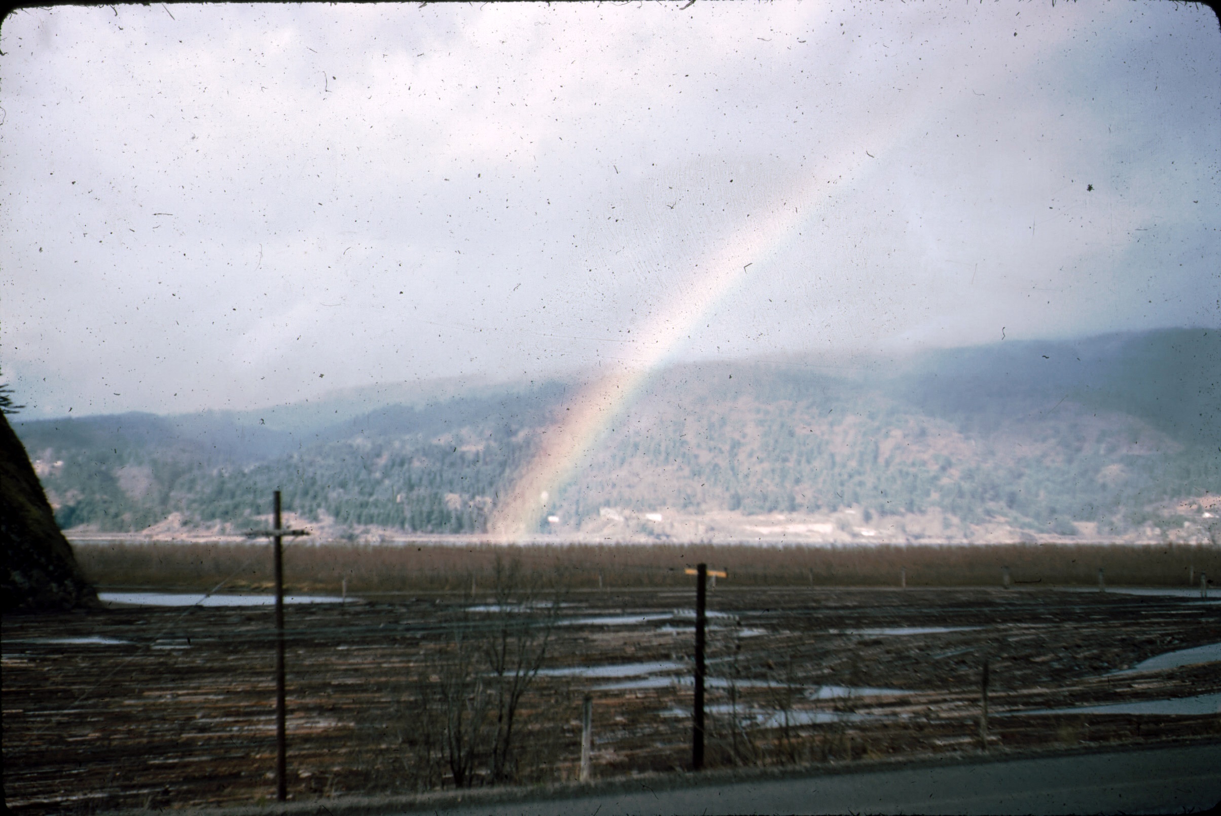 photo2